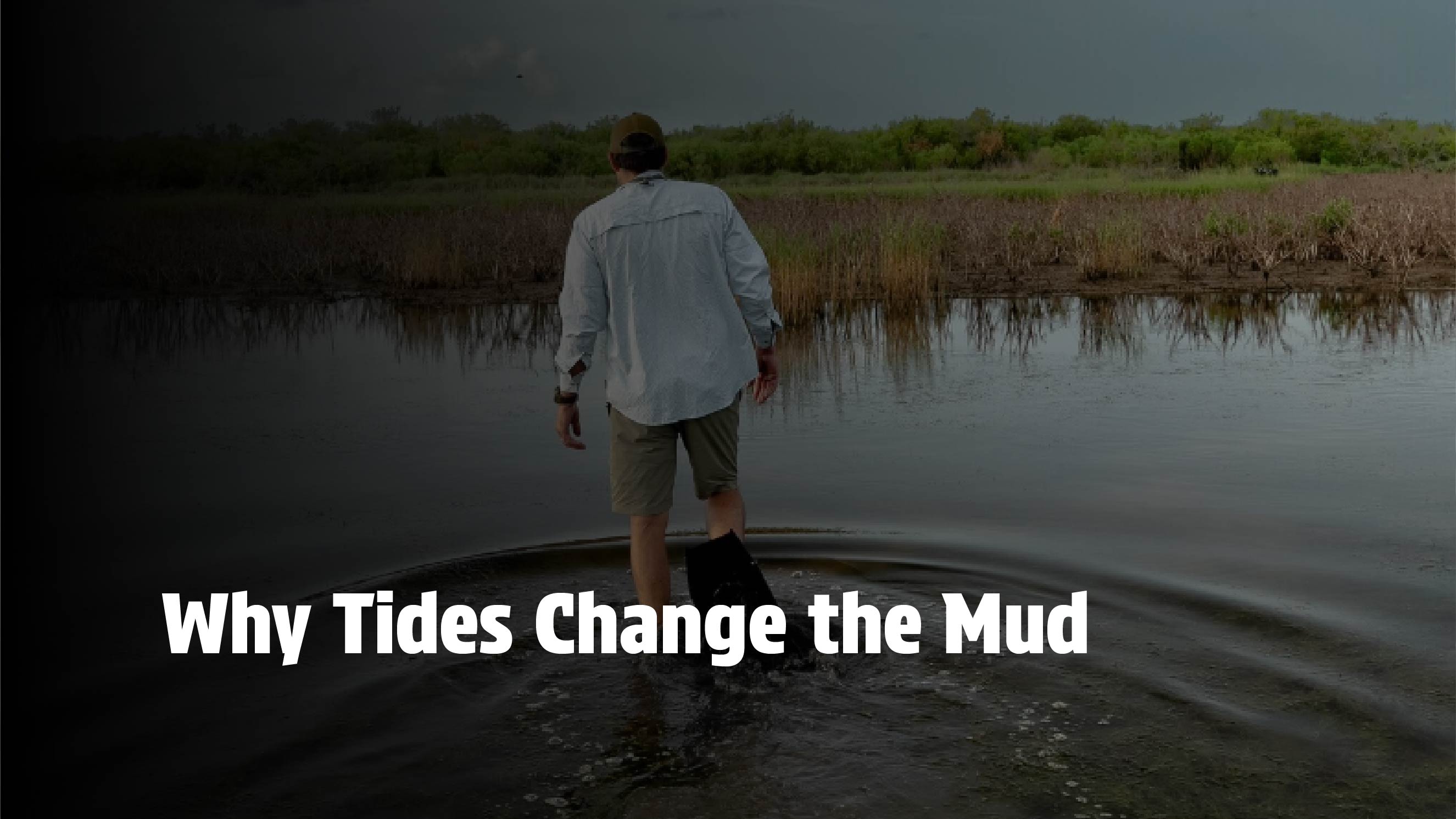 Why Tides Change the Mud