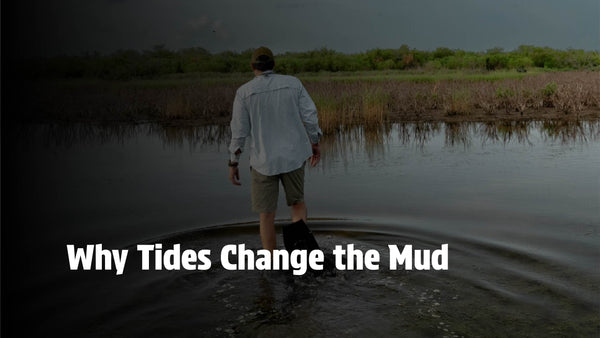 Why Tides Change the Mud