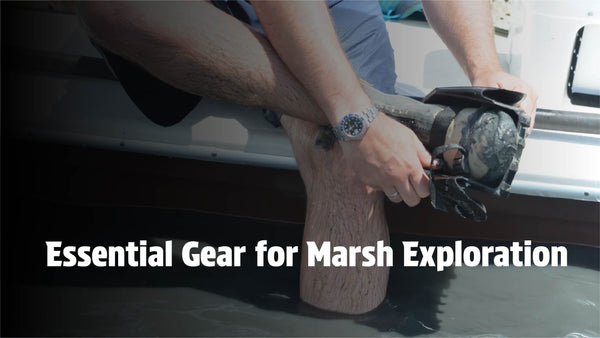 Essential Gear for Marsh Exploration